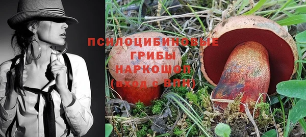 крисы Беломорск