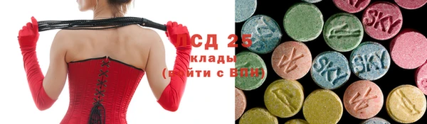 крисы Беломорск