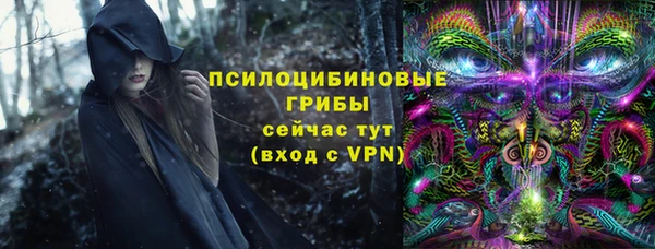 крисы Беломорск