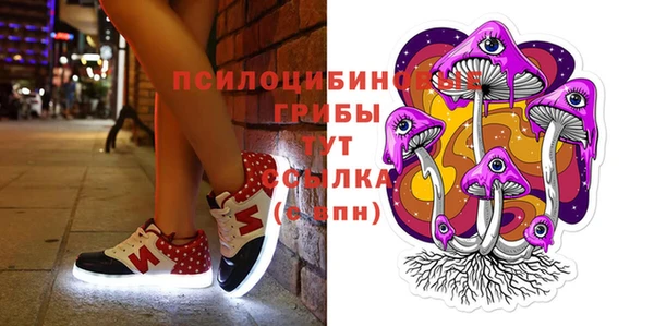 кокс Михайловск